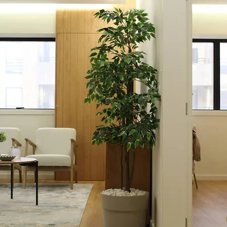 Barramares Concept Lifestyle Center Apartman