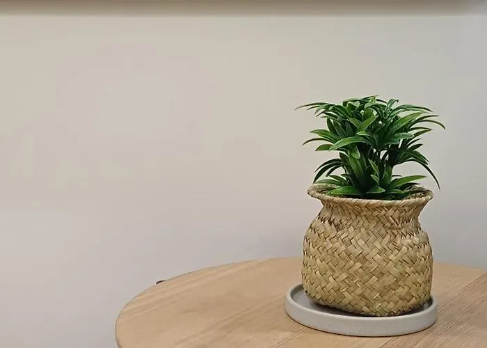 Barramares Concept Lifestyle Center Lejlighed